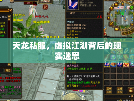 天龙私服，虚拟江湖背后的现实迷思