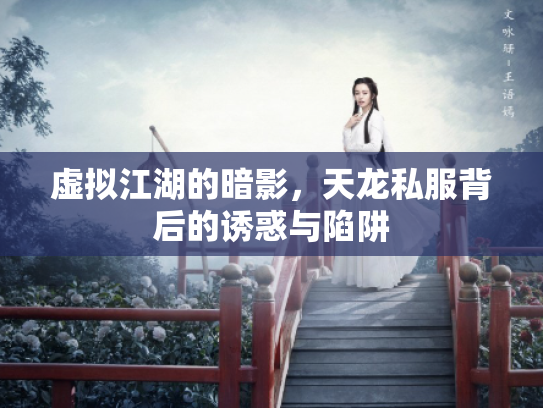 虚拟江湖的暗影，天龙私服背后的诱惑与陷阱