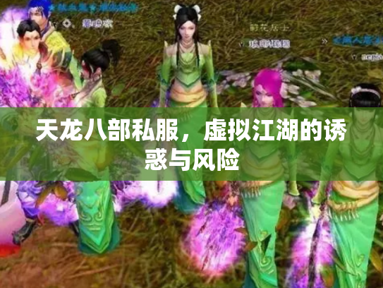 天龙八部私服，虚拟江湖的诱惑与风险