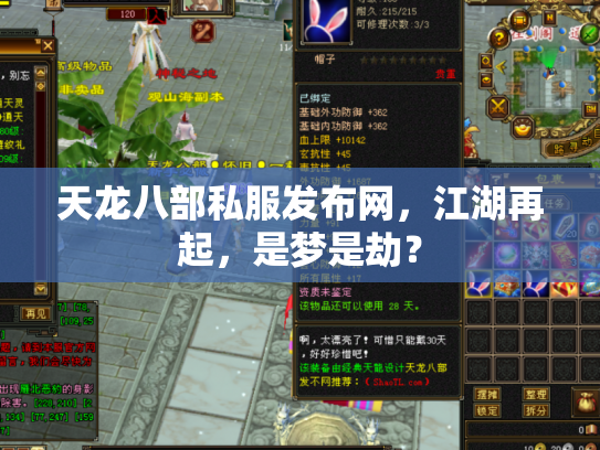 天龙八部私服发布网，江湖再起，是梦是劫？