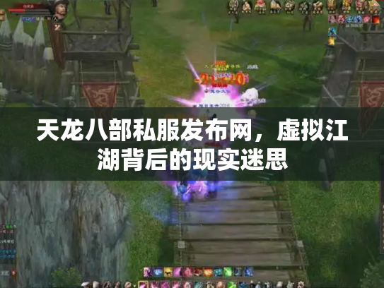 天龙八部私服发布网，虚拟江湖背后的现实迷思
