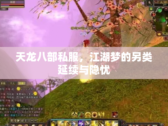 天龙八部私服，江湖梦的另类延续与隐忧