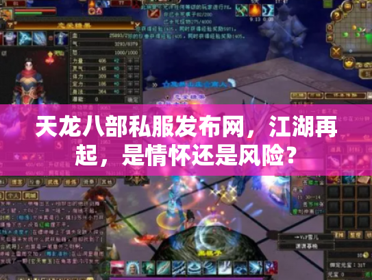 天龙八部私服发布网，江湖再起，是情怀还是风险？