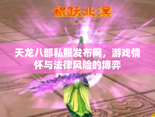 天龙八部私服发布网，游戏情怀与法律风险的博弈