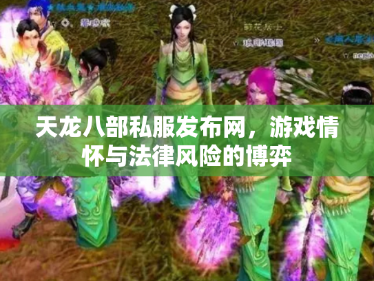天龙八部私服发布网，游戏情怀与法律风险的博弈
