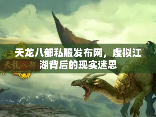 天龙八部私服发布网，虚拟江湖背后的现实迷思