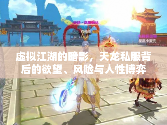 虚拟江湖的暗影，天龙私服背后的欲望、风险与人性博弈
