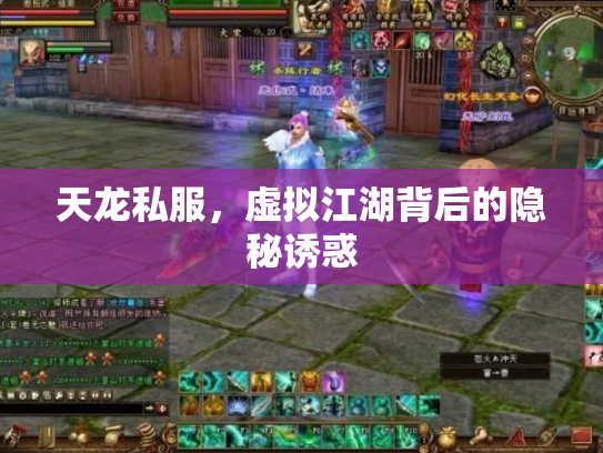 天龙私服，虚拟江湖背后的隐秘诱惑