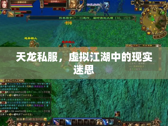 天龙私服，虚拟江湖中的现实迷思