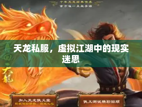 天龙私服，虚拟江湖中的现实迷思