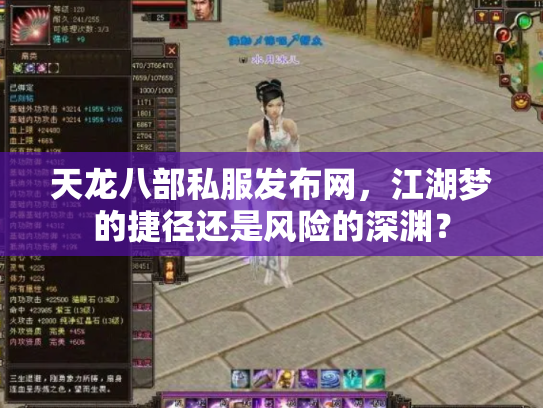天龙八部私服发布网，江湖梦的捷径还是风险的深渊？