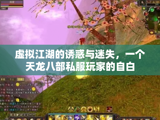虚拟江湖的诱惑与迷失，一个天龙八部私服玩家的自白