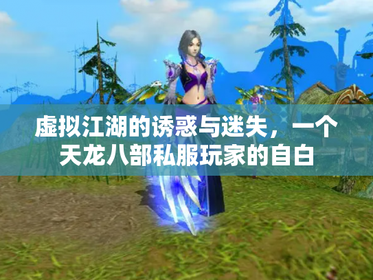 虚拟江湖的诱惑与迷失，一个天龙八部私服玩家的自白