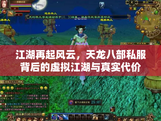 江湖再起风云，天龙八部私服背后的虚拟江湖与真实代价