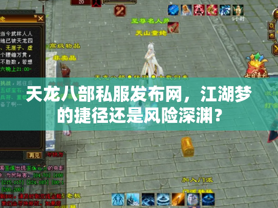 天龙八部私服发布网，江湖梦的捷径还是风险深渊？