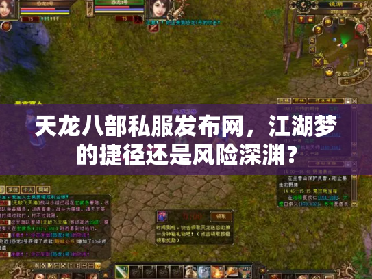 天龙八部私服发布网，江湖梦的捷径还是风险深渊？