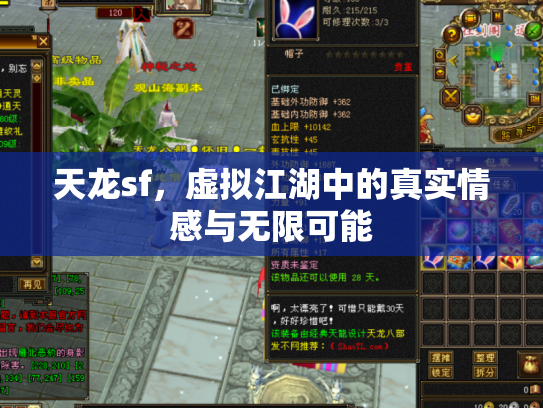 天龙sf，虚拟江湖中的真实情感与无限可能