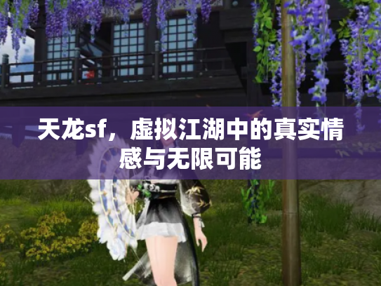 天龙sf，虚拟江湖中的真实情感与无限可能