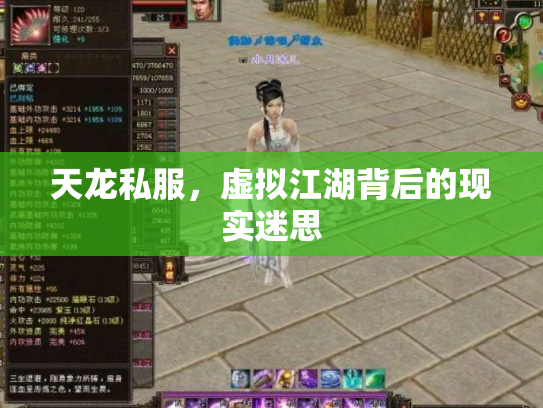 天龙私服，虚拟江湖背后的现实迷思