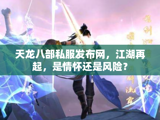 天龙八部私服发布网，江湖再起，是情怀还是风险？