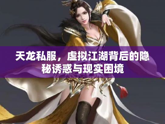 天龙私服，虚拟江湖背后的隐秘诱惑与现实困境