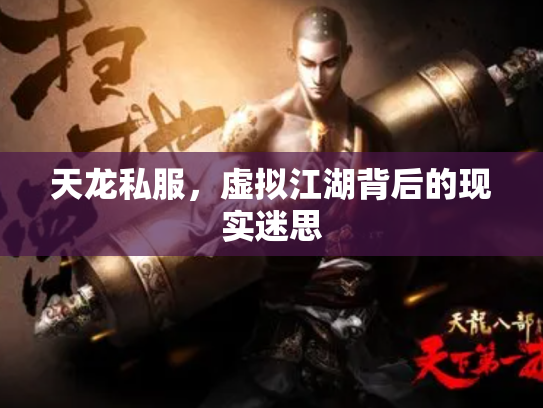 天龙私服，虚拟江湖背后的现实迷思