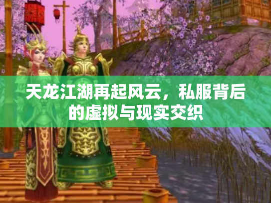 天龙江湖再起风云，私服背后的虚拟与现实交织