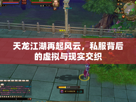 天龙江湖再起风云，私服背后的虚拟与现实交织
