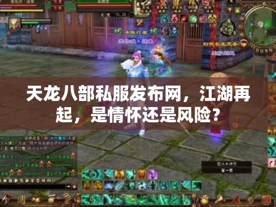 天龙八部私服发布网，江湖再起，是情怀还是风险？
