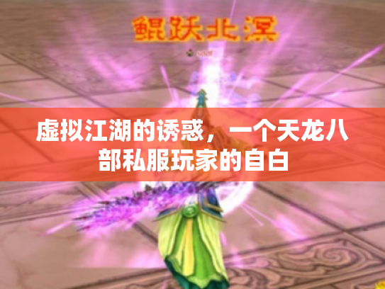 虚拟江湖的诱惑，一个天龙八部私服玩家的自白