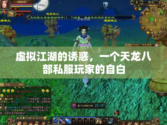 虚拟江湖的诱惑，一个天龙八部私服玩家的自白