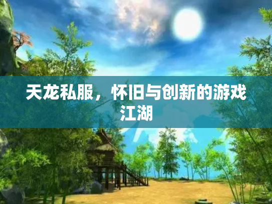 天龙私服，怀旧与创新的游戏江湖