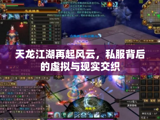 天龙江湖再起风云，私服背后的虚拟与现实交织
