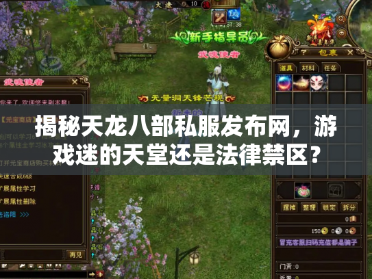 揭秘天龙八部私服发布网，游戏迷的天堂还是法律禁区？