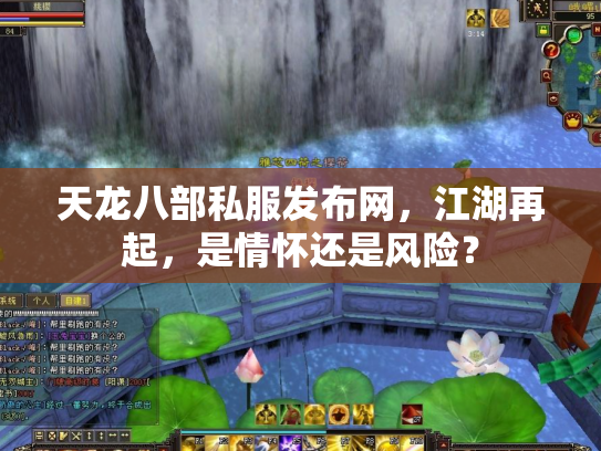 天龙八部私服发布网，江湖再起，是情怀还是风险？