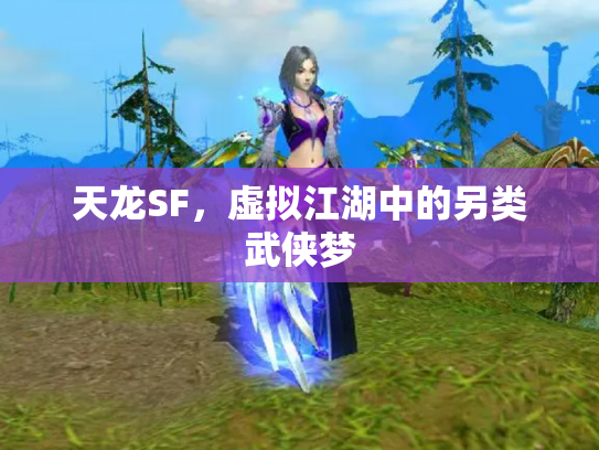 天龙SF，虚拟江湖中的另类武侠梦