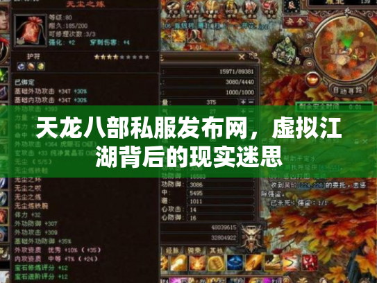 天龙八部私服发布网，虚拟江湖背后的现实迷思