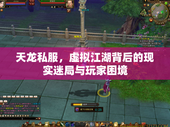 天龙私服，虚拟江湖背后的现实迷局与玩家困境