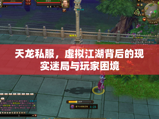 天龙私服，虚拟江湖背后的现实迷局与玩家困境
