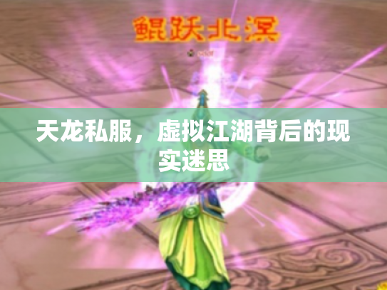 天龙私服，虚拟江湖背后的现实迷思