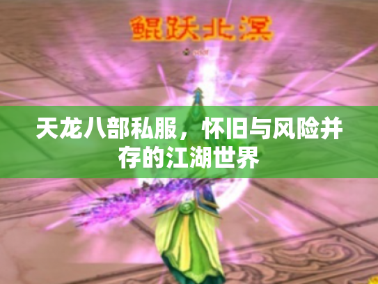 天龙八部私服，怀旧与风险并存的江湖世界