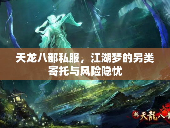 天龙八部私服，江湖梦的另类寄托与风险隐忧