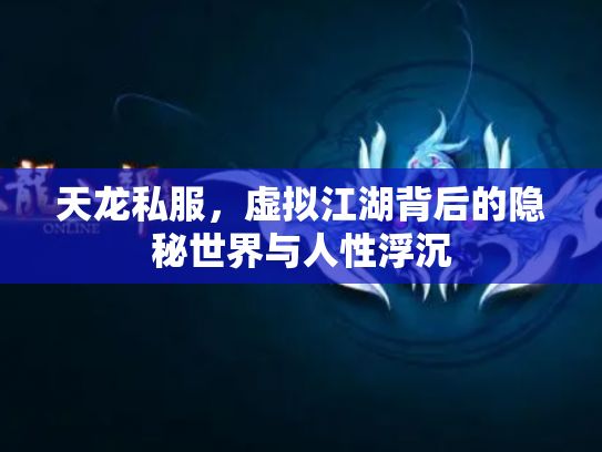 天龙私服，虚拟江湖背后的隐秘世界与人性浮沉