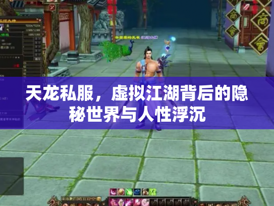 天龙私服，虚拟江湖背后的隐秘世界与人性浮沉