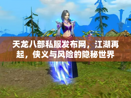 天龙八部私服发布网，江湖再起，侠义与风险的隐秘世界