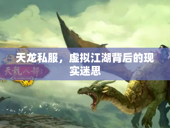 天龙私服，虚拟江湖背后的现实迷思