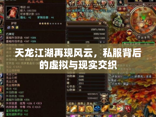 天龙江湖再现风云，私服背后的虚拟与现实交织