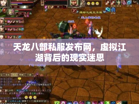 天龙八部私服发布网，虚拟江湖背后的现实迷思