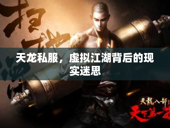 天龙私服，虚拟江湖背后的现实迷思