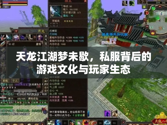 天龙江湖梦未歇，私服背后的游戏文化与玩家生态